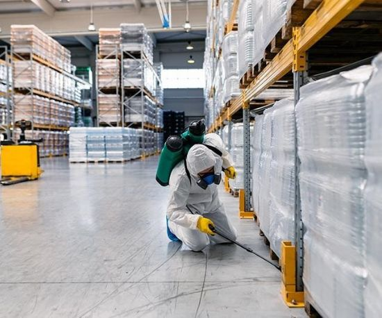Person Providing Pest Control Services in a office in Dubai
